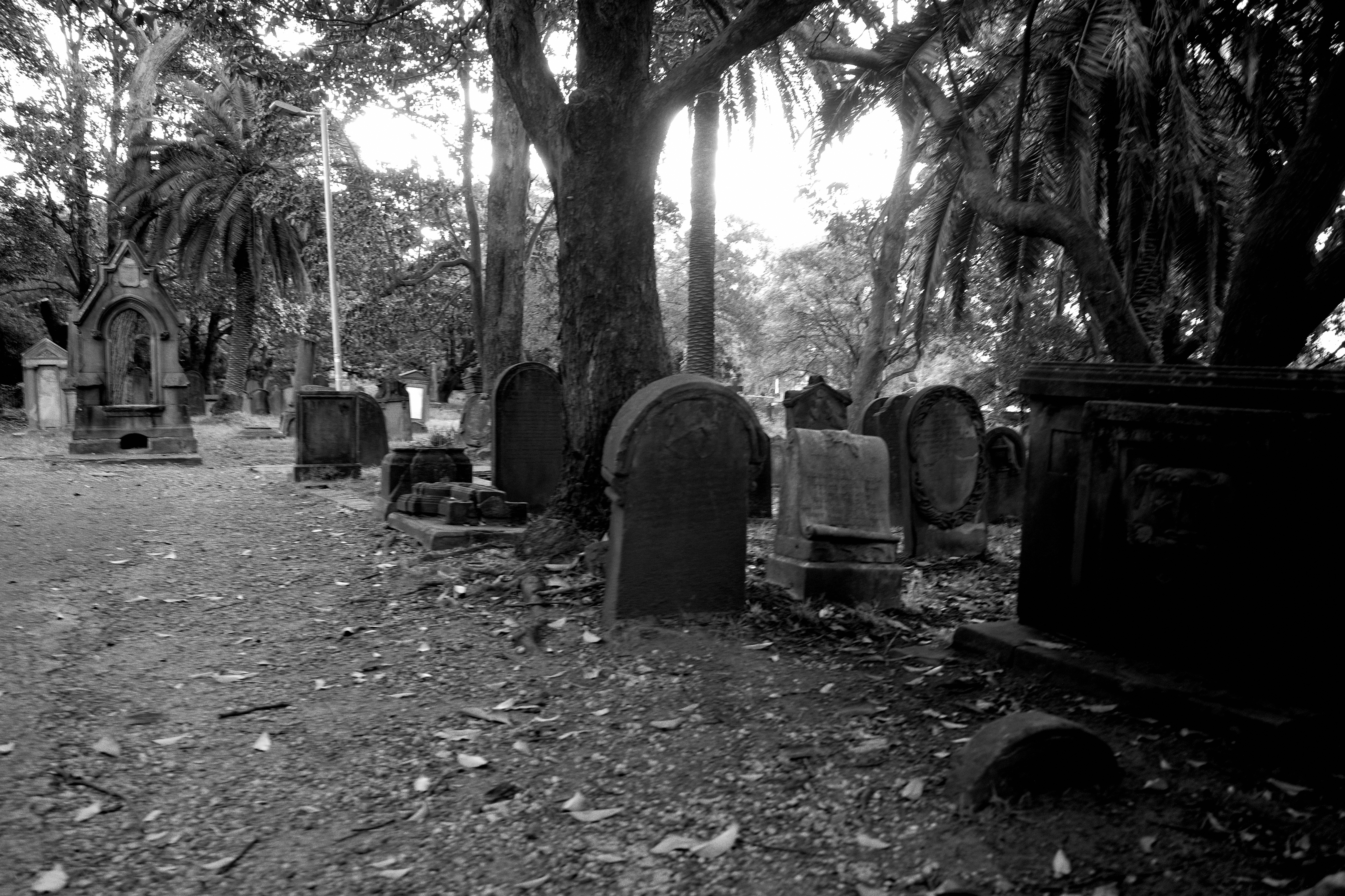 graveyard-4
